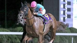 【大井・東京盃注目馬】JBCスプリントの直行切符をかけた戦い 中央、地方から快足馬が集結