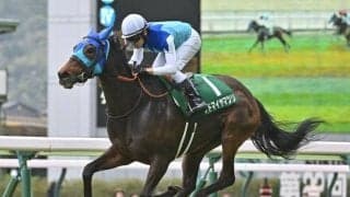 【アイルランドT出走馬・騎手確定】アドマイヤマツリ＆武豊騎手、ボンドガール＆C.ルメール騎手など16頭