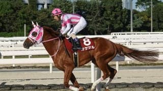 【園田オータムトロフィー】オケマル、兵庫史上初の無敗三冠達成…下原「すごい馬に出会った」