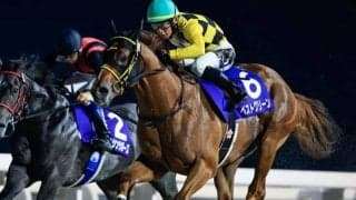 【川崎・鎌倉記念枠順】無傷3連勝中のホッカイドウ所属馬ベストグリーンは5枠5番 出走8頭