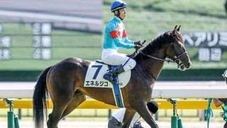 【菊花賞】エネルジコ、ショウヘイらが登録