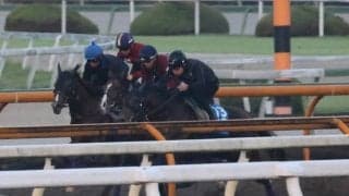 追い切りの手応え秀逸 アドマイヤクワッズが土曜東京で初陣/関西馬メイクデビュー情報