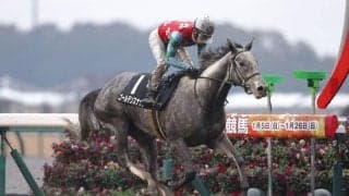 【豪コーフィールドカップ】ゴールデンスナップ上昇ムードで状態は万全