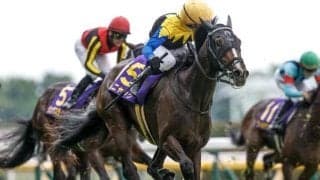 【秋華賞・調教後馬体重】カムニャックは494kg、エンブロイダリーは492kg