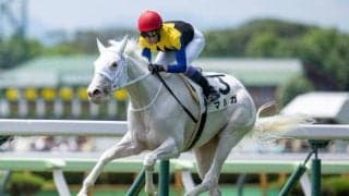 【アルテミスS想定馬・騎手】マルガ、タイセイボーグなど11頭