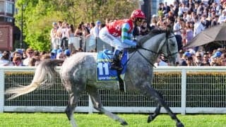 【豪コーフィールドカップ】日本馬ゴールデンスナップは14着…豪女性騎手J.メルハム騎乗、ハーフユアーズがV