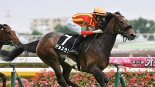 【秋華賞予想】牝馬三冠の終着点 コーナーリングセンス含む機動力が求められる舞台