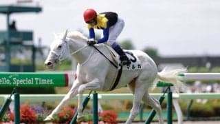 【アルテミスS登録馬】白毛馬のマルガなど11頭