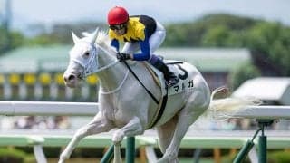 【アルテミスS想定騎手】マルガは武豊騎手、フィロステファニは川田将雅騎手