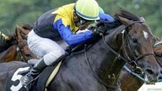 【菊花賞】来年定年の国枝栄調教師 アマキヒで牡馬クラシック初制覇なるか