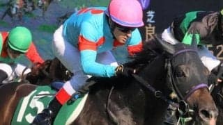 C.ルメール騎手は菊花賞の複勝率78% 好相性の高柳瑞樹厩舎とタッグ