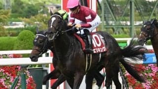 【菊花賞予想】大種牡馬ディープインパクトの取り扱いが重要!? 人気でも本質的なスタミナに疑問符が付く1頭とは