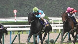 【JRA・WIN5】1番人気4勝で的中7349票、配当9万4970円
