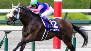 34年ぶりの天皇賞(秋)逃げ切り勝ちとなるか メイショウタバルと武豊騎手に注目だ