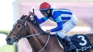 【AR共和国杯想定馬・騎手】ホーエリート、スティンガーグラスなど19頭