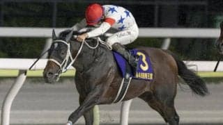 【みやこS想定馬・騎手】アウトレンジ、ラムジェットなど15頭