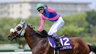 【武豊日記】長いこと騎手を続けてきたことのご褒美