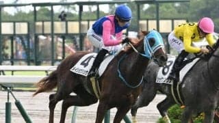【ファンタジーS予想】阪神JFの前哨戦 ハイペースになりにくいコースで高低差4.3mの坂がカギ