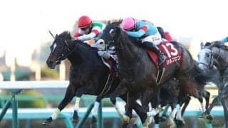 【豪メルボルンカップ】日本馬シュヴァリエローズ、豪州で状態上昇…最終調整は抜群の反応で視界良好