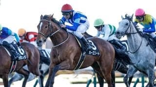 【AR共和国杯】ホーエリート、スティンガーグラスらが登録