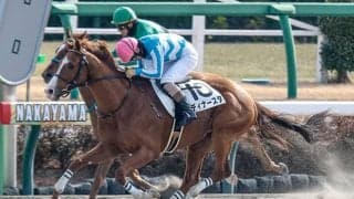 【京都JS】ディナースタ、マテンロウジョイらが登録