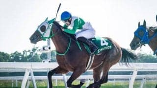 【門別・JBC2歳優駿注目馬】JRA勢はいずれも1勝馬 経験豊富なホッカイドウ競馬所属馬が力をみせるか