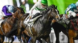 【マイルCS想定】ソウルラッシュやガイアフォースなど21頭