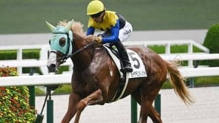 【京王杯2歳S枠順確定】ダイヤモンドノットは5枠10番、レッドスティンガーは8枠16番