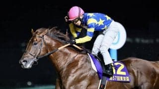 ドンフランキーが登録抹消…優駿スタリオンステーションで種牡馬入りへ