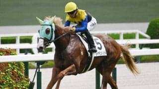 【今日の注目ポイント】京王杯2歳Sと京都JSの2重賞