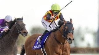 【武蔵野S登録馬】コスタノヴァなど21頭