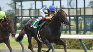 【先週のJRA抹消馬】ダート短距離重賞3勝のドンフランキー、昨年の六甲Sを制したボルザコフスキーなど