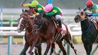 後の名ジャンパー・タガノエスプレッソが重賞初制覇 14年のデイリー杯2歳Sを回想