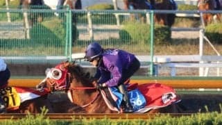 シンエンペラー、ジャパンC2週前追い切り速報/栗東トレセンニュース