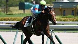 【デイリー杯2歳S枠順確定】カヴァレリッツォは7枠7番、アドマイヤクワッズは6枠6番
