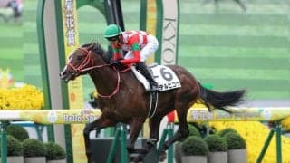 【東スポ杯2歳S登録馬】GLAY・TERU命名で話題のテルヒコウなど15頭