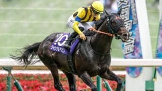 【マイルCS出走馬・騎手確定】ジャンタルマンタル＆川田将雅騎手、ソウルラッシュ＆C.デムーロ騎手など18頭