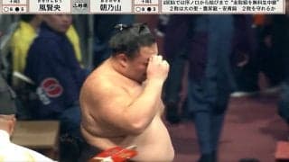 朝乃山、取組後に“異変” 苦痛に顔歪める… 眉間の手をどけると驚きの変化「大丈夫か」「泣きそうやん」驚きと心配の声