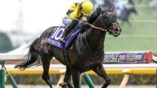 【マイルCS枠順確定】ジャンタルマンタルは7枠15番、ソウルラッシュは8枠17番