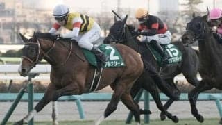 アルナシームの登録抹消…中京記念Vなど
