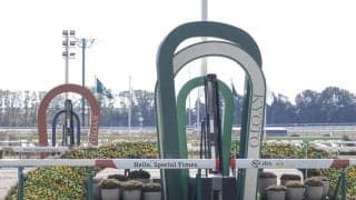 【マイルCS】英ドックランズ最終調整を無事消化