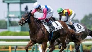 【園田・兵庫ジュニアGP枠順】エーデルワイス賞2着のトウカイマシェリは8枠12番