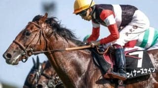 【京都2歳S】ウイナーズナイン、アスクエジンバラらが登録