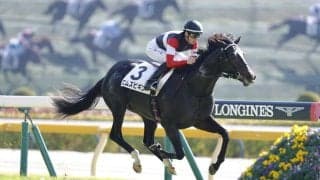 【東京3R】5億9000万円ホースが勝ち上がる