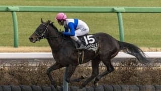 【浦和記念】ロードクロンヌは8枠11番