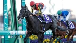 【ジャパンCの過去10年データ】セオリー通りに中団待機がベター 追込馬はまったく振るわず