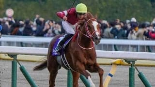 【ジャパンC】19頭の香港馬名・馬名意味を紹介！『真命新帝』『好脆』はどの馬？