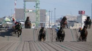帯広ばんえい競馬で馬券購入の違反行為判明、関係者を処分