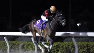 【浦和記念】岩田康誠の神業イン突き！ホウオウルーレット、鮮やか重賞2勝目