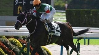 【京都2歳S予想】大舞台への登竜門！ 初タイトルをつかみGI戦線に名乗りを挙げるのは